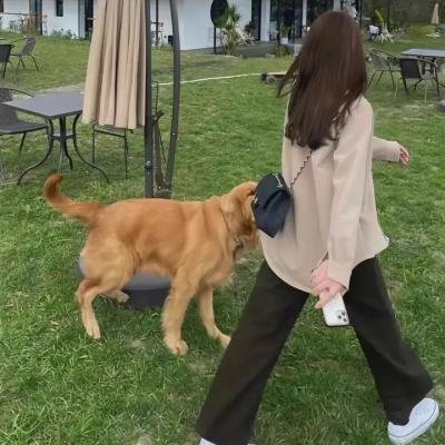 皇后复仇中